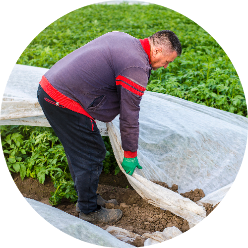 orginic agriculturer and farming