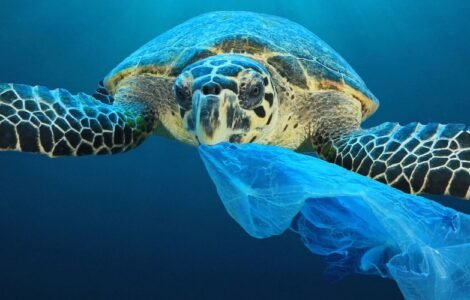 how nonwoven benefits the planet