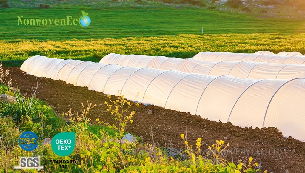 Hongpeng Nonwovens for Agriculture