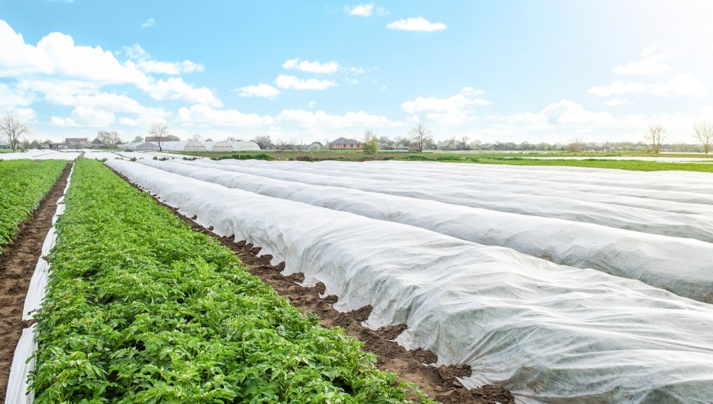 Agriculture fabric