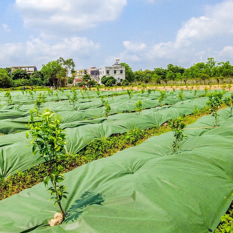 nonwoven fabric for orchard