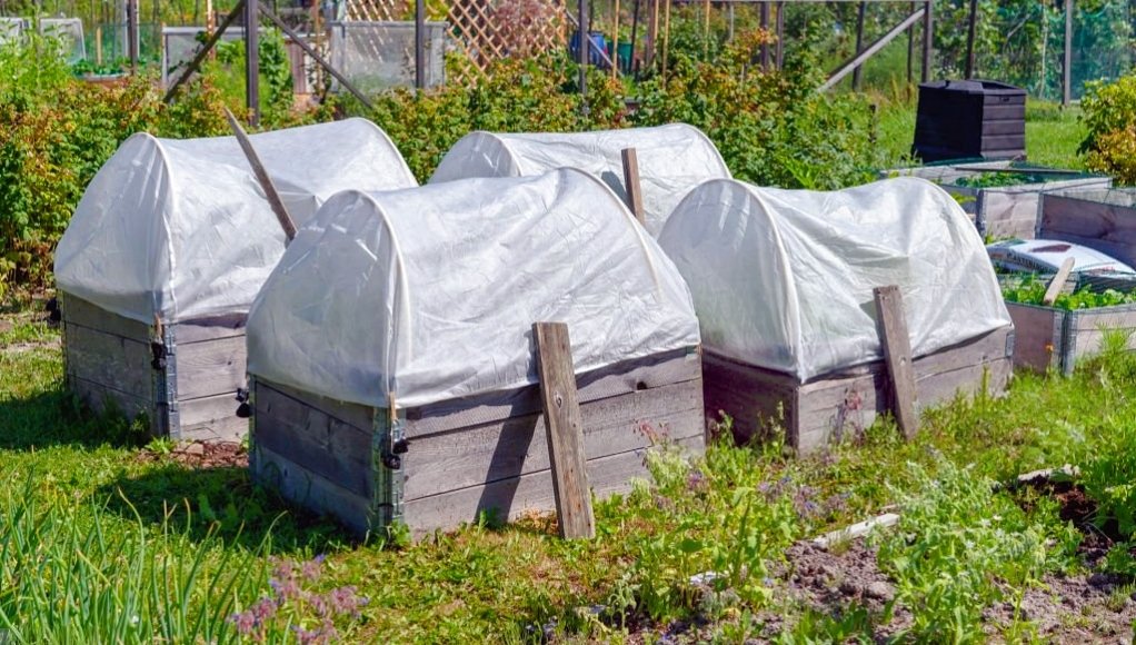 nonwoven fabric for plant cover