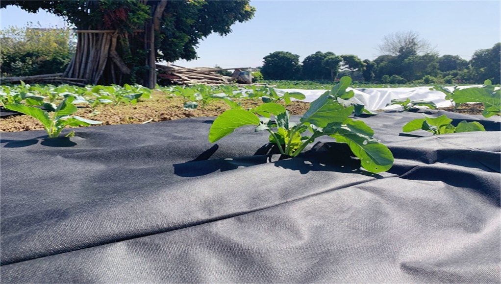 Nonwovens functions in summer season