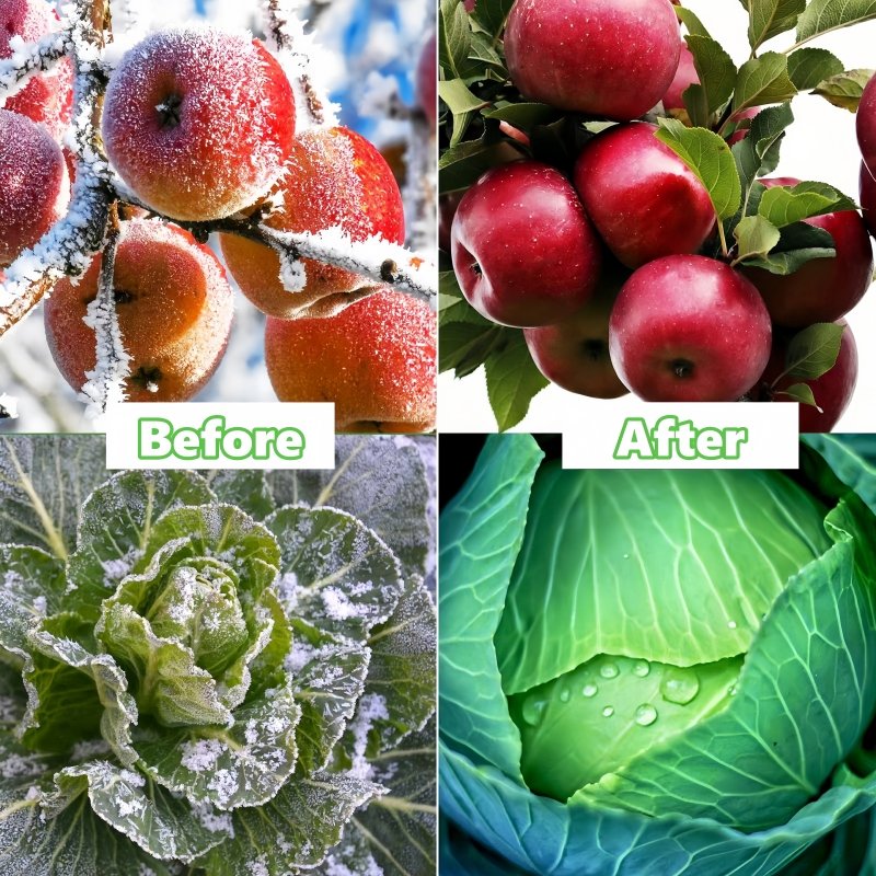 anti-frost nonwoven application