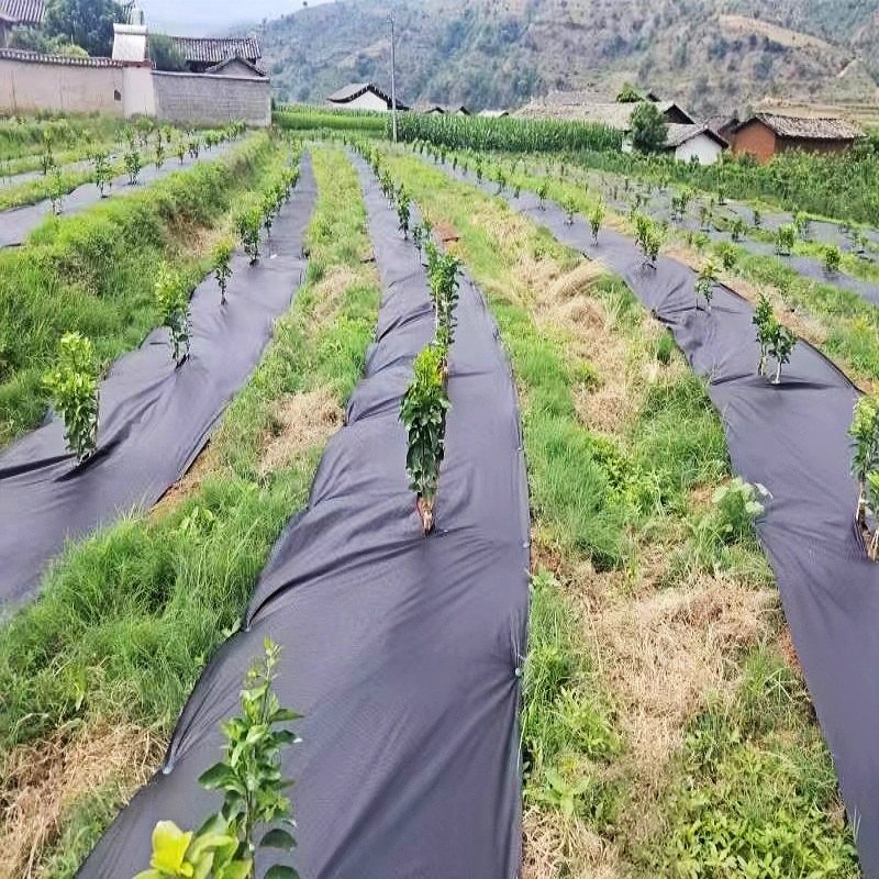 weed barrier for orchard