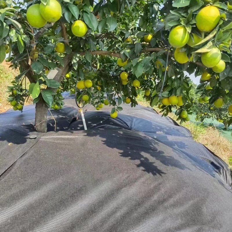 nonwoven fabric for orchard